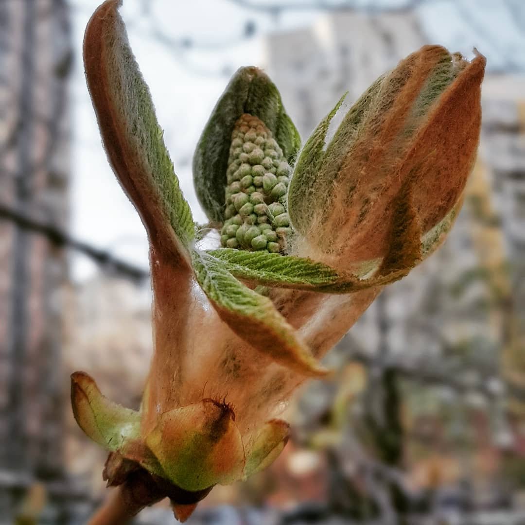 Очень интересно наблюдать за началом чего-то нового. Фото: @iivlevа Очень интересно наблюдать за началом чего-то нового. Фото: @iivlevа