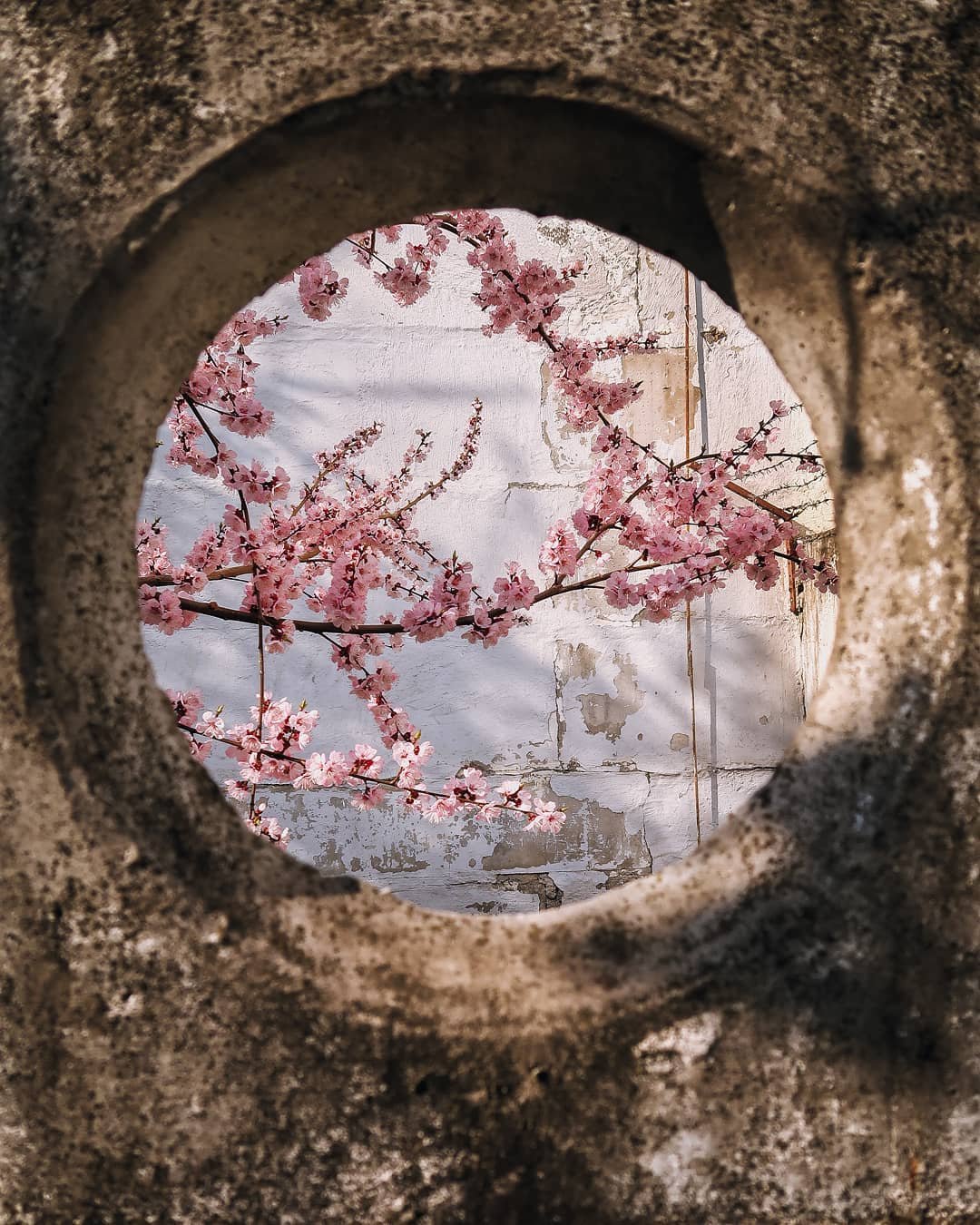 Даже в странных, забытых дворах есть что-то прекрасное. Фото: @wunderlust.robert Даже в странных, забытых дворах есть что-то прекрасное. Фото: @wunderlust.robert