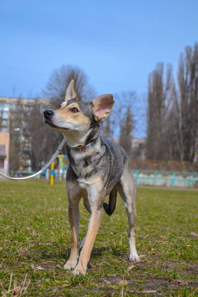 Нежная и скромная Ева ищет свой райский дом Нежная и скромная Ева ищет свой райский дом
