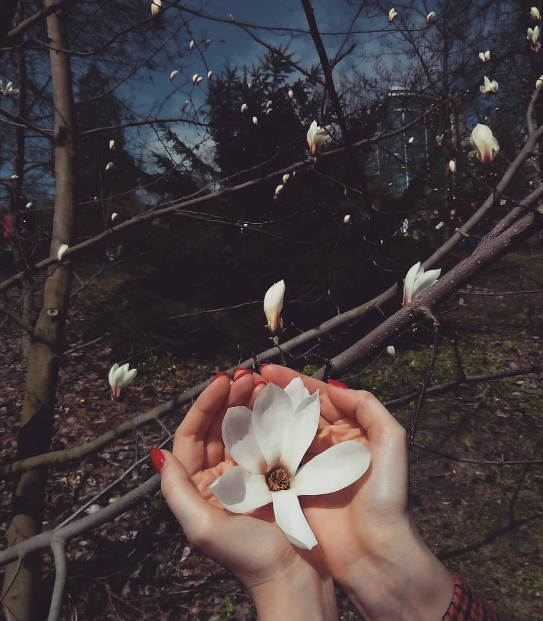 А вы знаете, как выглядит нежность? Фото: @anastasiia.savchenko4