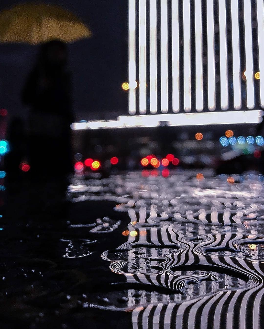 Кто-то видит в лужах грязь, а кто-то - звезды. Фото: @mushrooms.philosophy