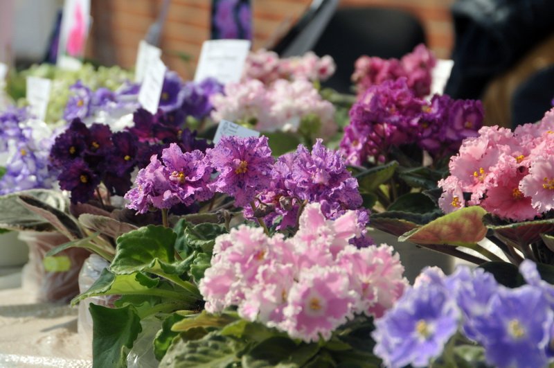 Только представьте себе аромат, который там витает!