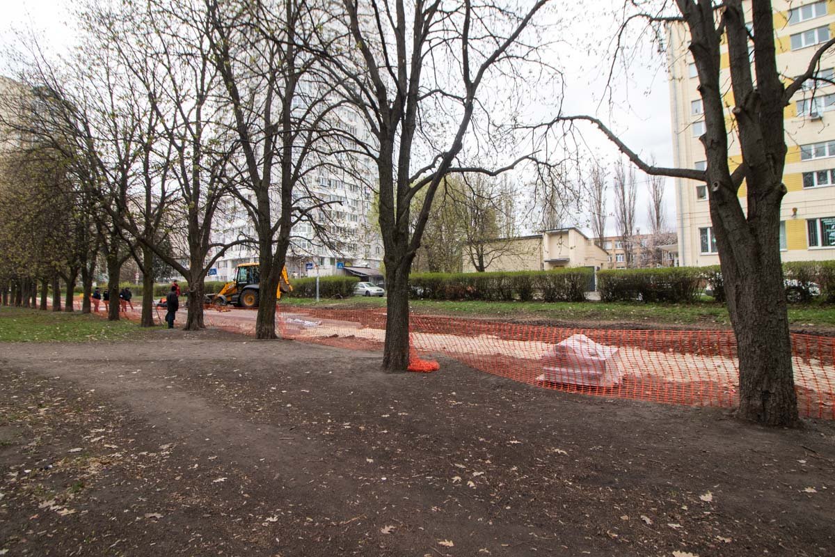 После того, как в парке появятся новые аллеи, начнутся работы по благоустройству территории