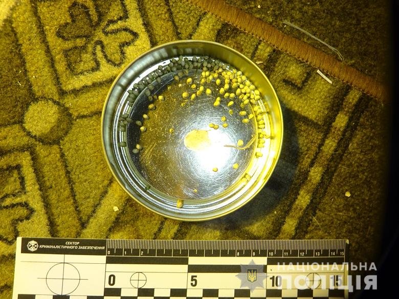 Также следственно-оперативная группа обнаружила семена конопли для посадки