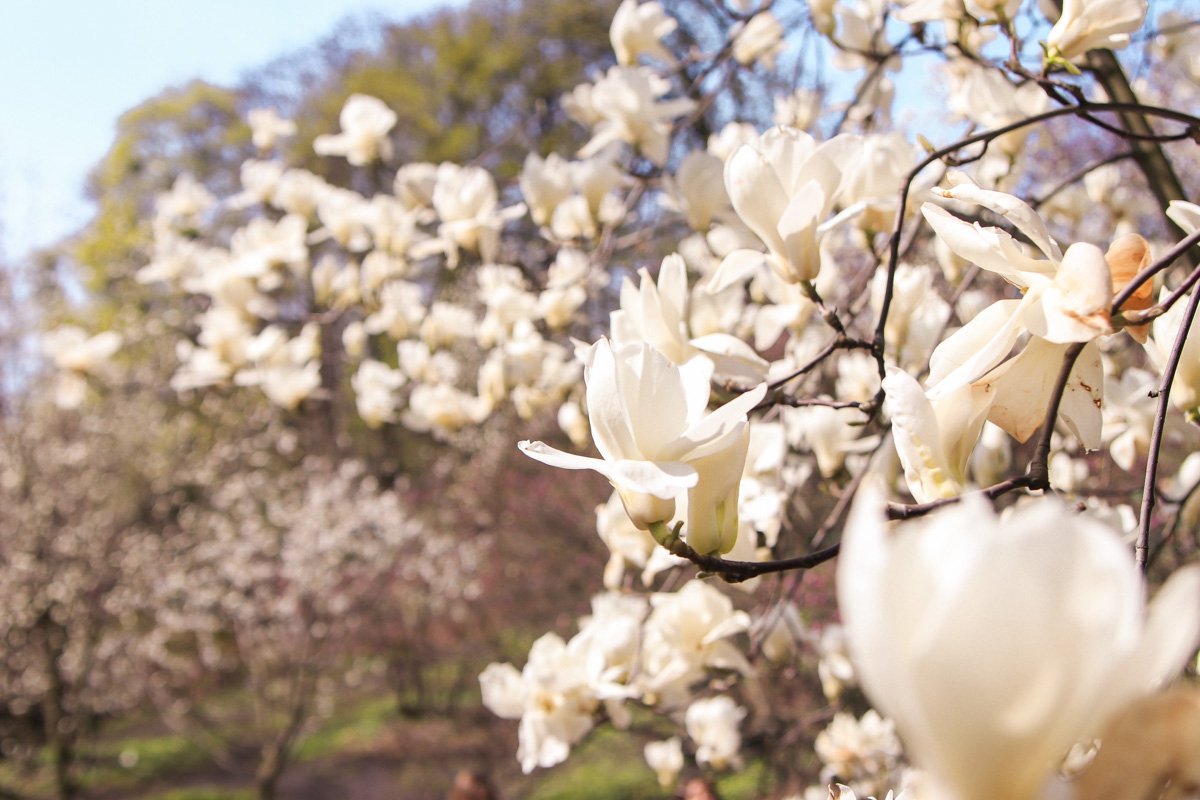 Разве не так выглядит нежность?