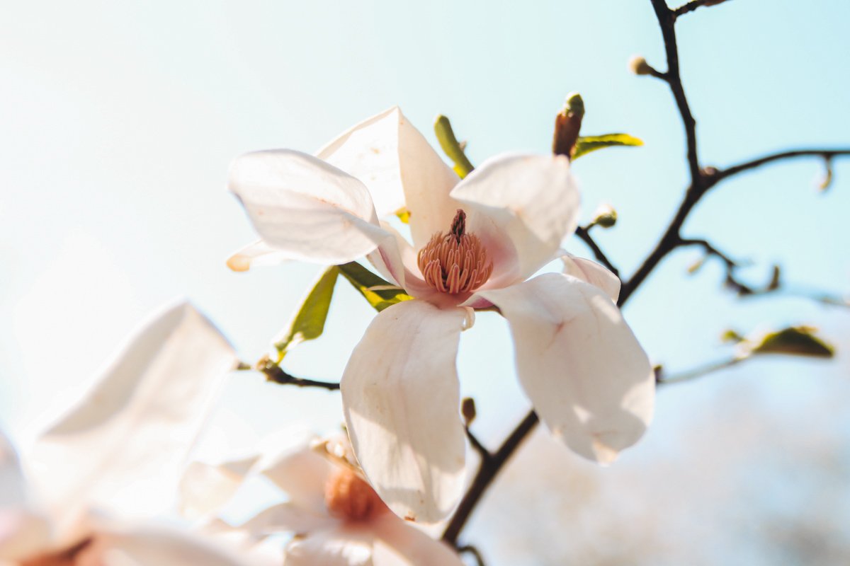 Так выглядит весна. Именно так!