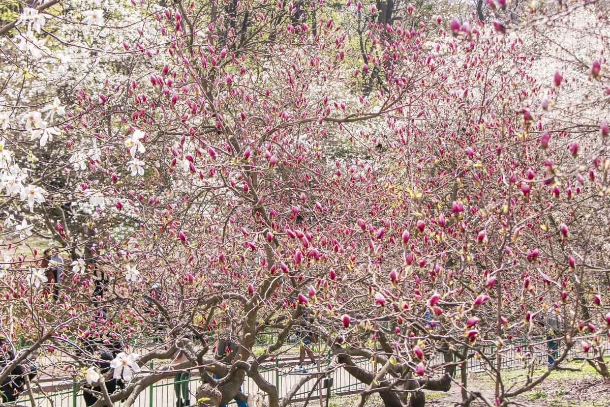 Хотя издалека это уже выглядит божественно 