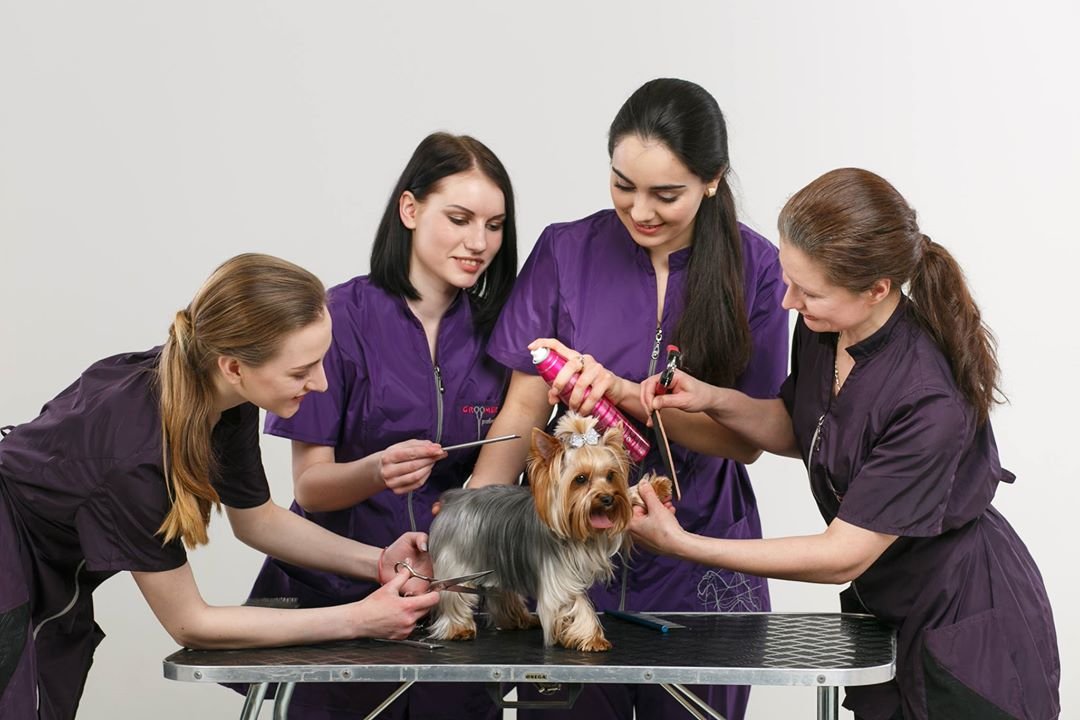 С клиентами работают настоящие профессионалы