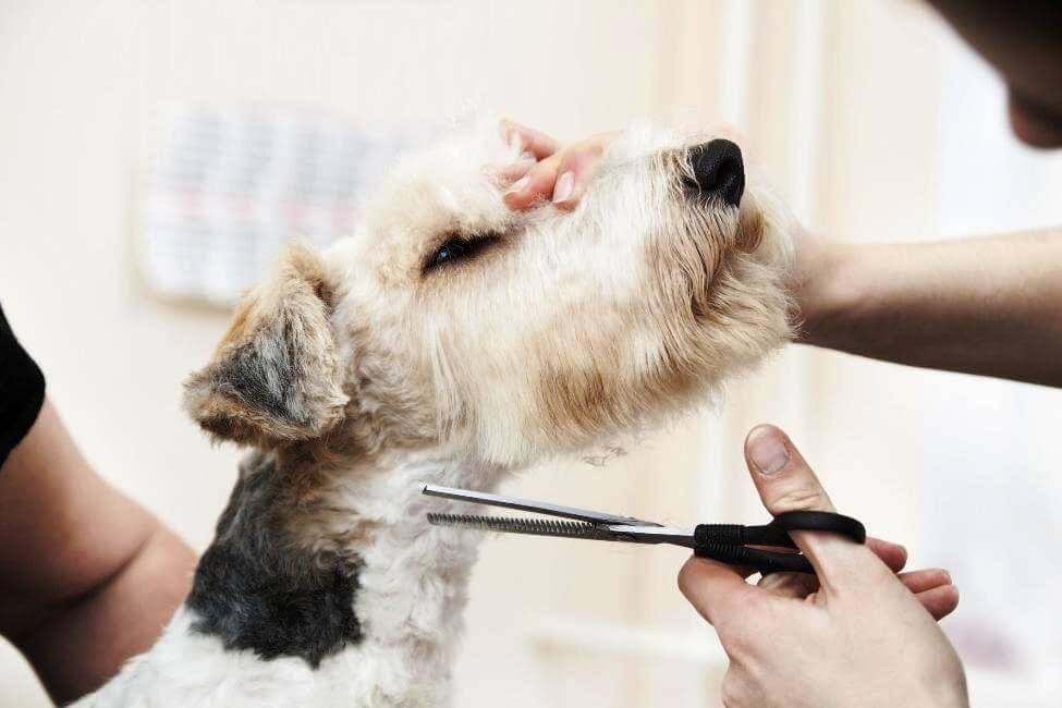 К каждому клиенту индивидуальный подход