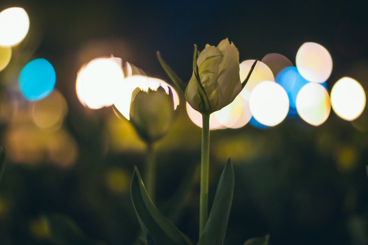 И только дыхание тепла не дает сойти с ума И только дыхание тепла не дает сойти с ума