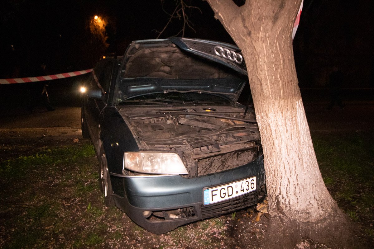 На улице Курнатовской Audi влетела в дерево На улице Курнатовской Audi влетела в дерево