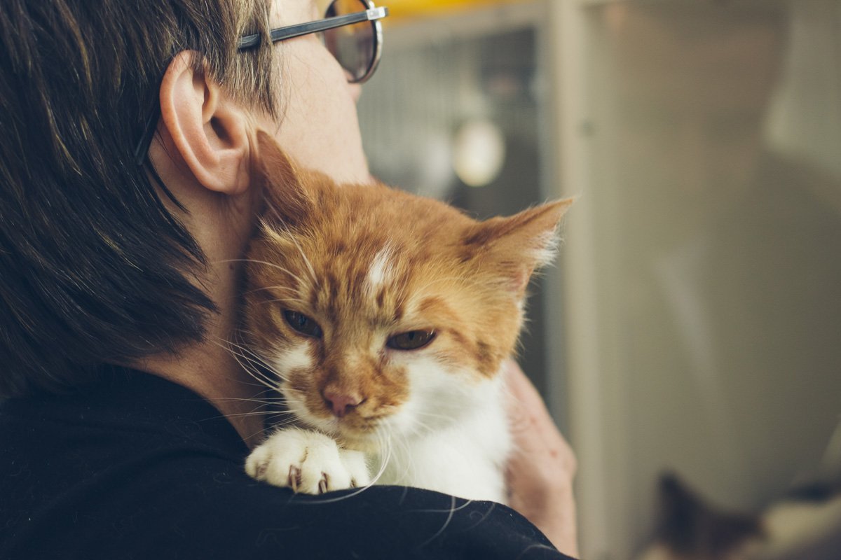 20-21 апреля на ВДНГ в Киеве стало максимально уютно, а все потому, что там проходила уже полюбившаяся жителям и гостям столицы барахолка Кураж Базар