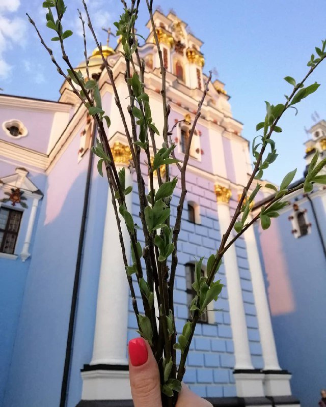 Немного красоты, снятой на Вербное воскресенье. Фото: hlopushech_ka