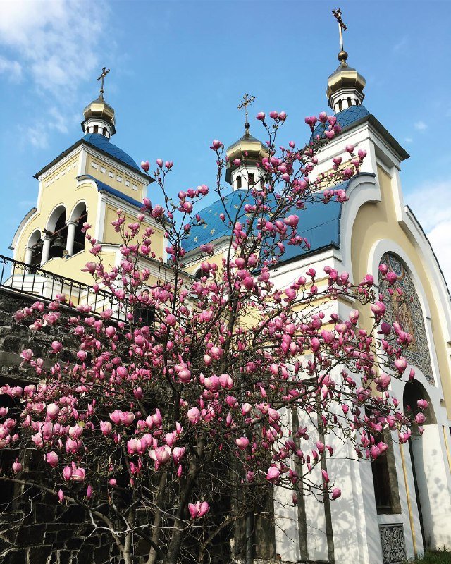 Весенний Киев цвет и хорошеет с каждым днем все больше. Фото: @photographer_kathlyn