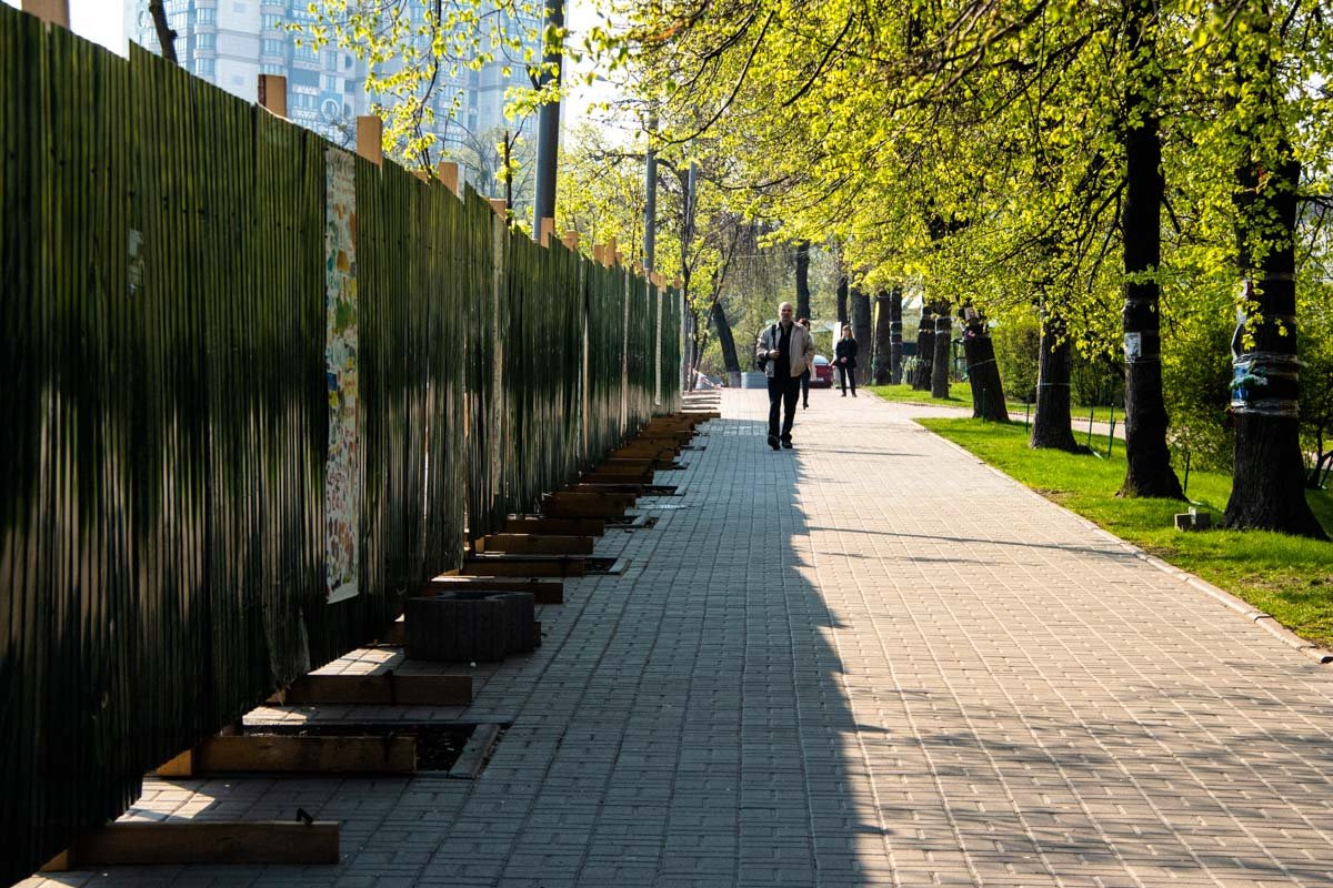 Старые деревья срежут и высадят новые