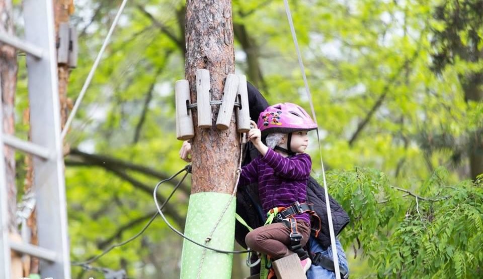 Детям точно будет интересно почувствовать себя скалолазами, но только по деревьям :)Детям точно будет интересно почувствовать себя скалолазами, но только по деревьям :)