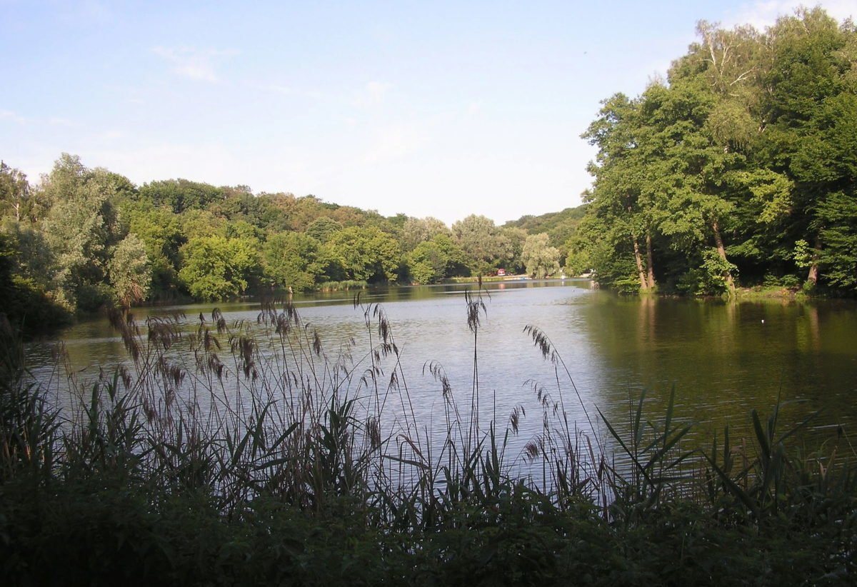 Посидеть на природе в компании друзей - идеальное времяпровождение