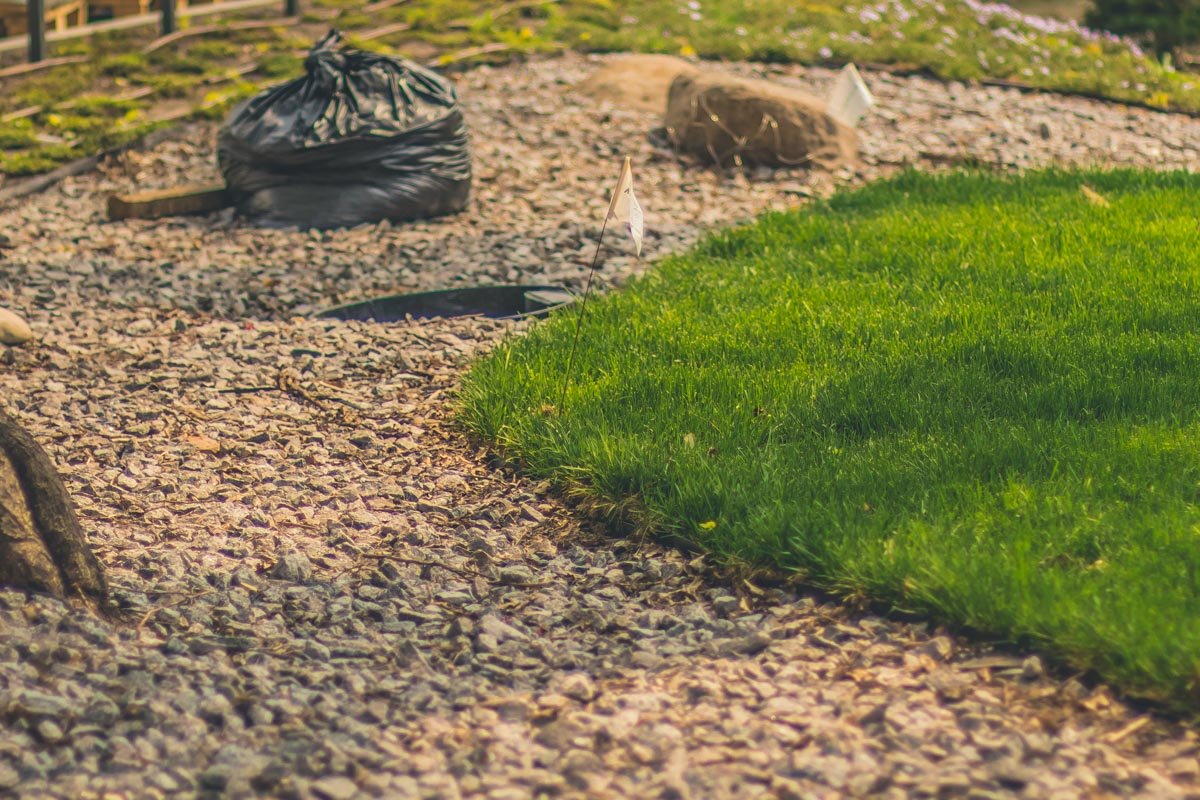 По итогам работ на территории зоопарка появится несколько таких ландшафтных зон По итогам работ на территории зоопарка появится несколько таких ландшафтных зон