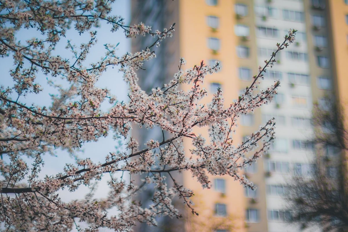 Впрочем, это не означает, что сейчас в зоопарк не стоит ходить. Напротив, как раз сейчас, когда весна украшает все вокруг себя, визит сюда может стать источником положительных эмоций Впрочем, это не означает, что сейчас в зоопарк не стоит ходить. Напротив, как раз сейчас, когда весна украшает все вокруг себя, визит сюда может стать источником положительных эмоций