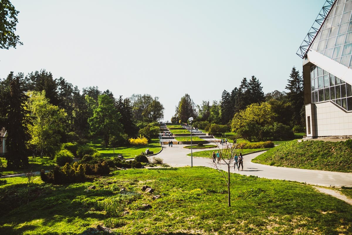 Вы тоже не заметили, как Киев вдруг стал зеленым?