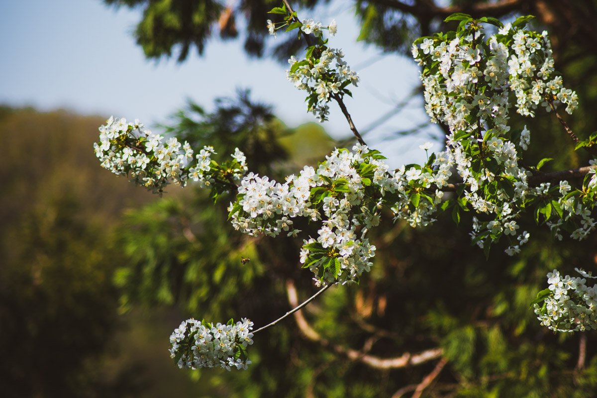 Такое не нарисуешь, не придумаешь и не забудешь