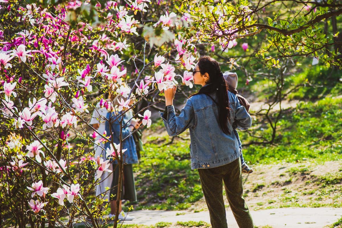 Мы уже говорили, что это идеальное место для прогулки с малышом? 