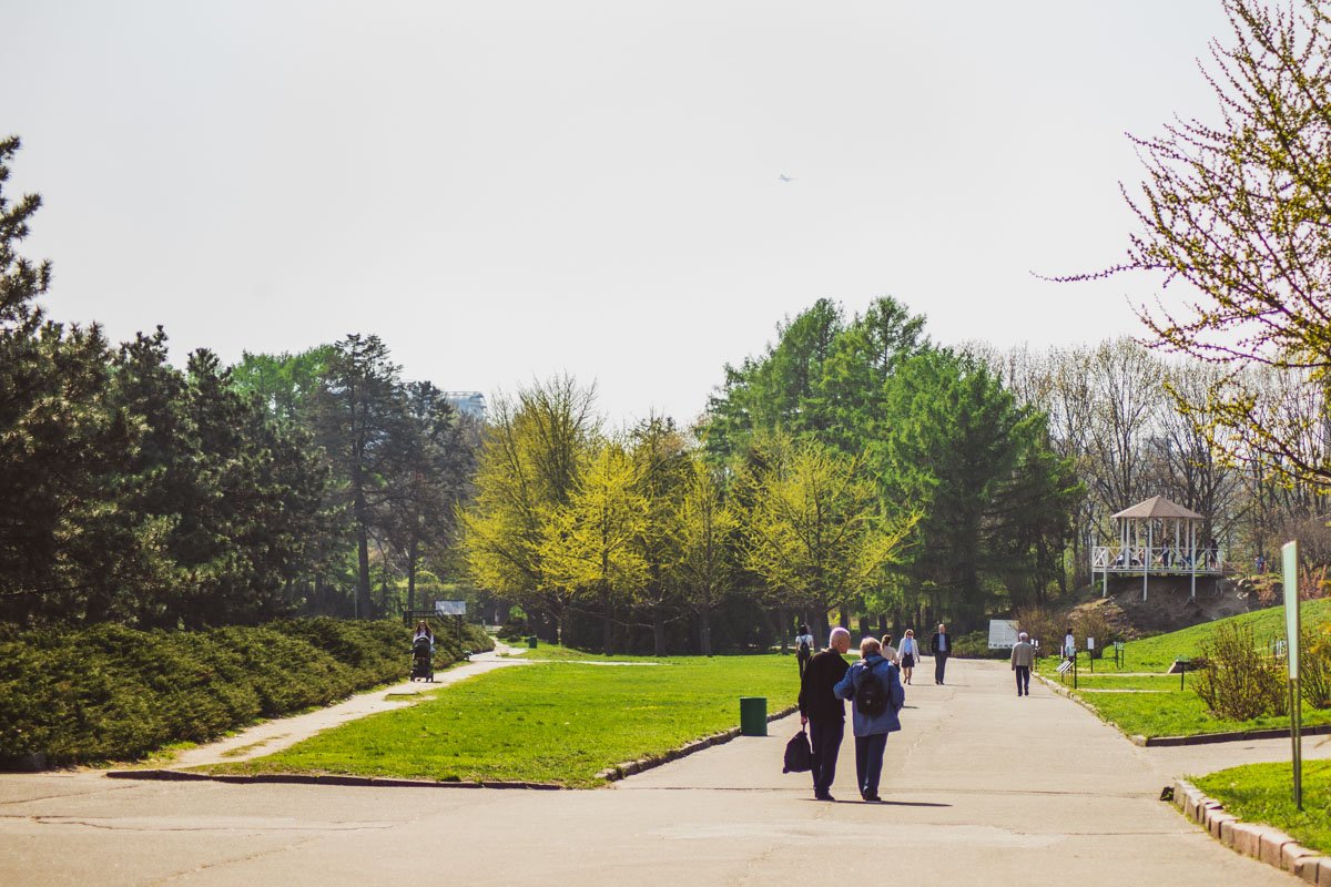 А вы замечали, насколько разные листья на деревьях? Присмотритесь вблизи, ни один не похож на другой 