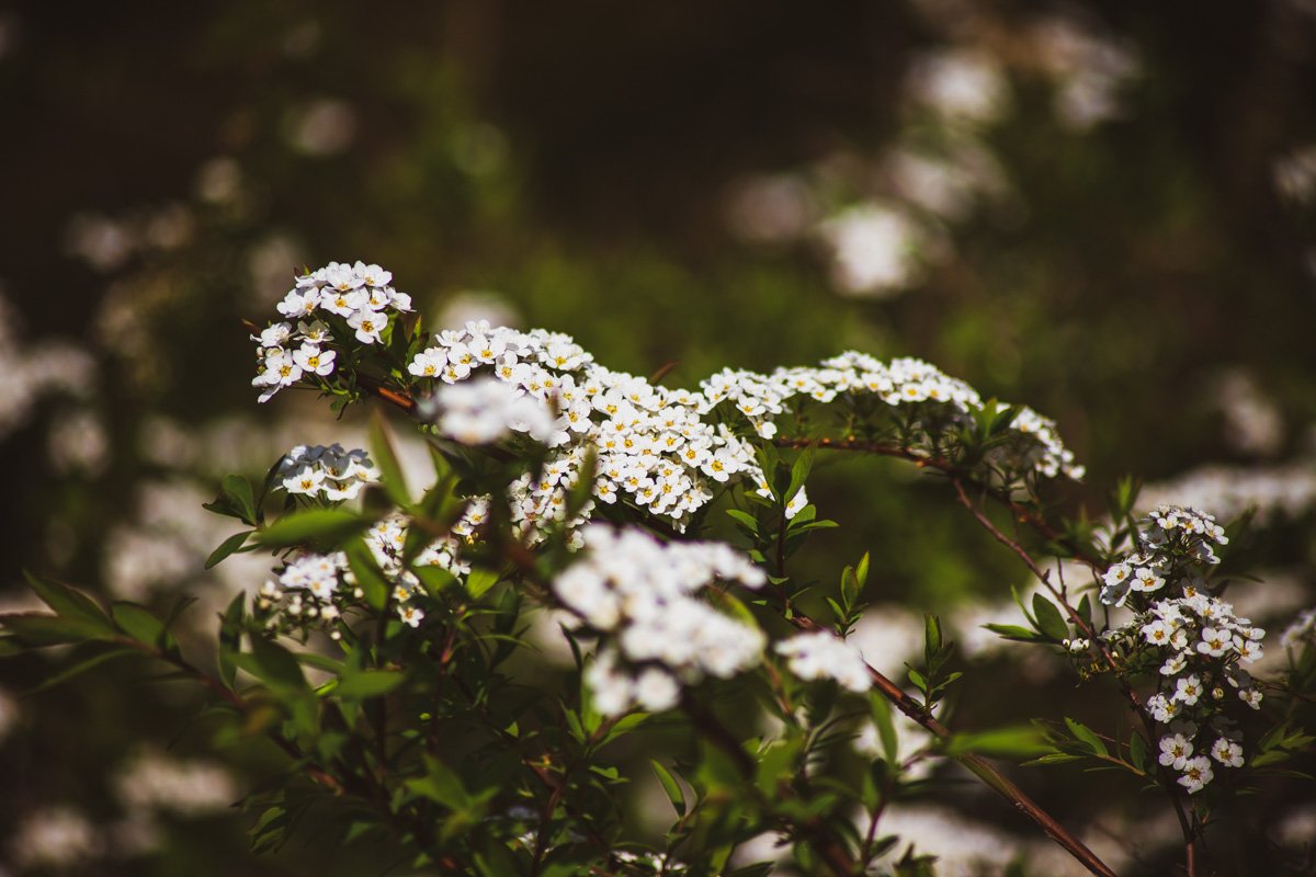 И если и постелить в доме ковер, то только такой 