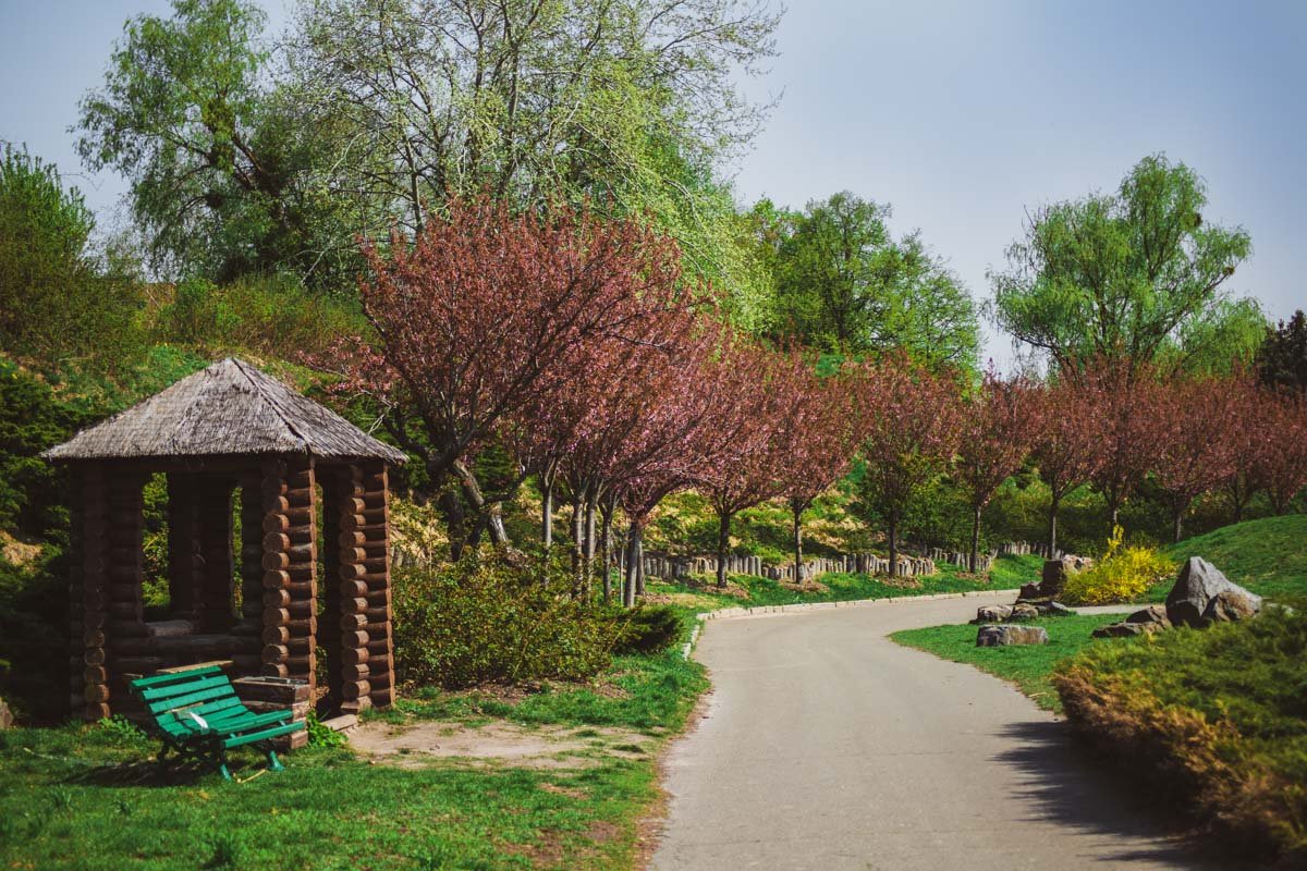 В этом фото идеально все