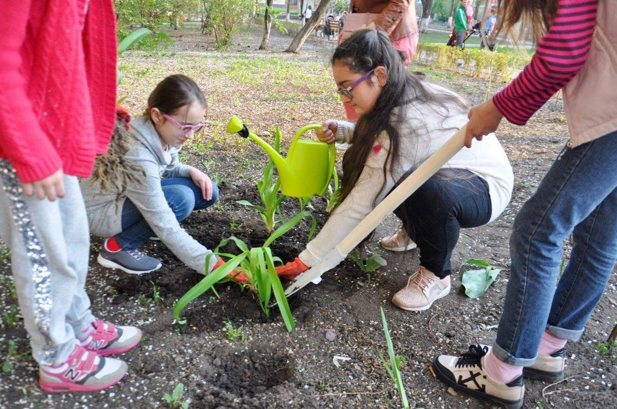 В зеленой зоне есть детская площадка и локация для занятия воркаутом