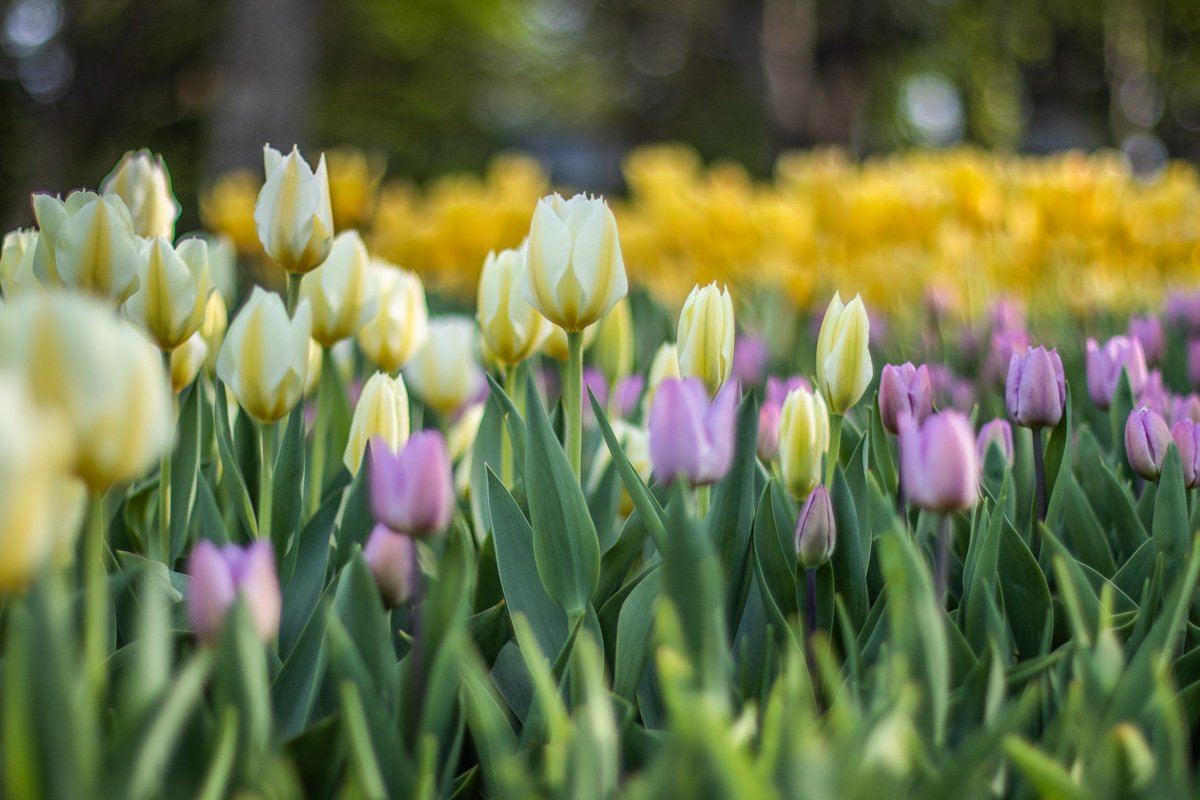 Композиции исполнены по сюжетам всеми любимых сказок
