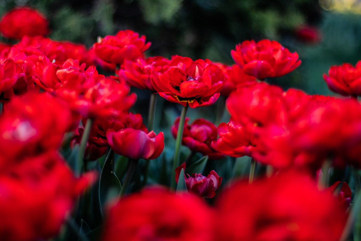 Выставка будет проходить ежедневно до 12 мая