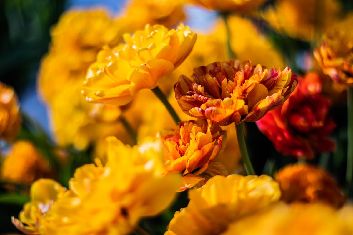 Также вы можете приобрести памятные сувениры на память о прекрасном времяпровождении