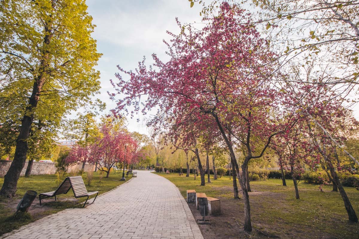 Можно прогуливаться в парке, и испытывать гордость от того, что здесь и сейчас весь он принадлежит одному человеку