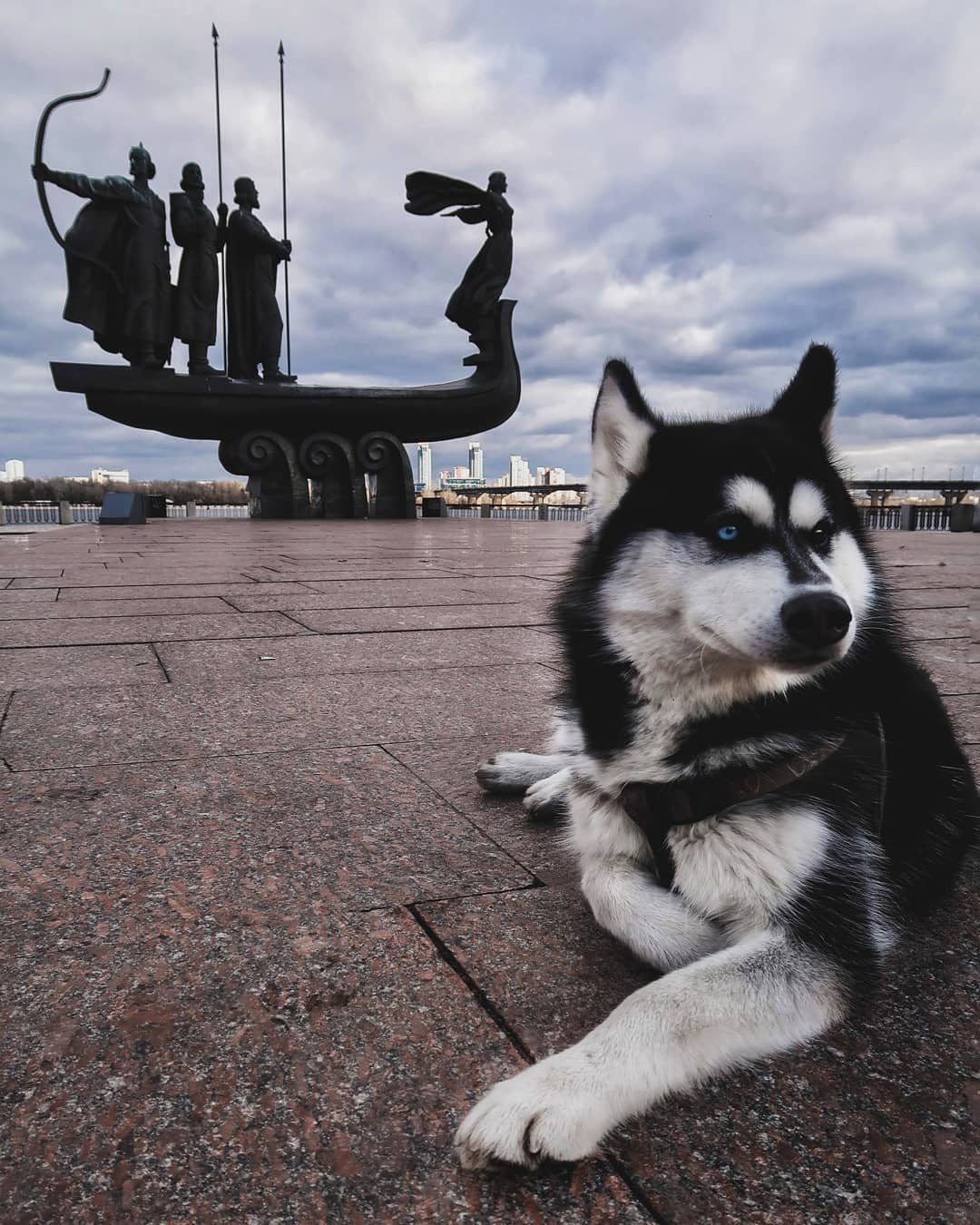 И даже четырехлапые друзья наслаждаются красотой города. Фото: @wanderlust.robert