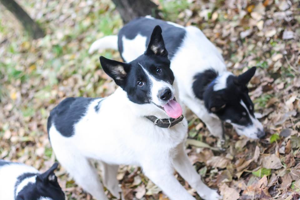 Супергерой Дипси готов дарить свою любовь без остатка 