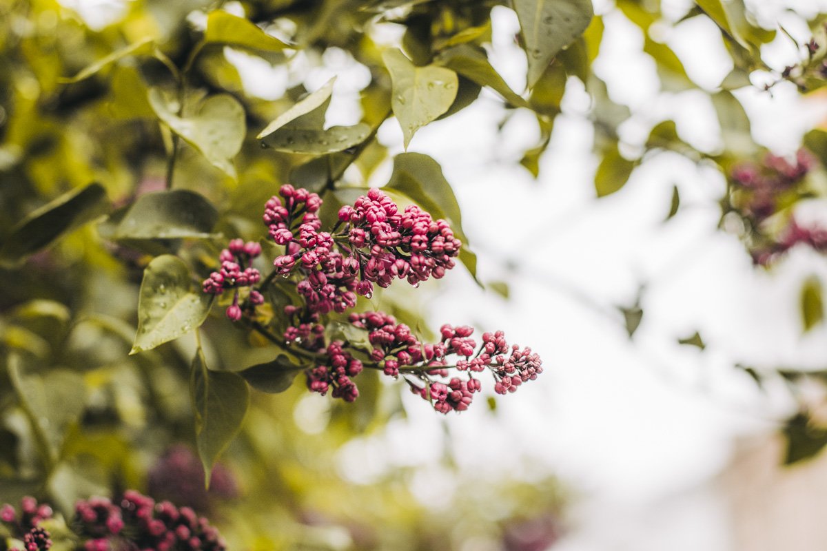 Еще один неизменный источник прекрасного - это, конечно же, природа