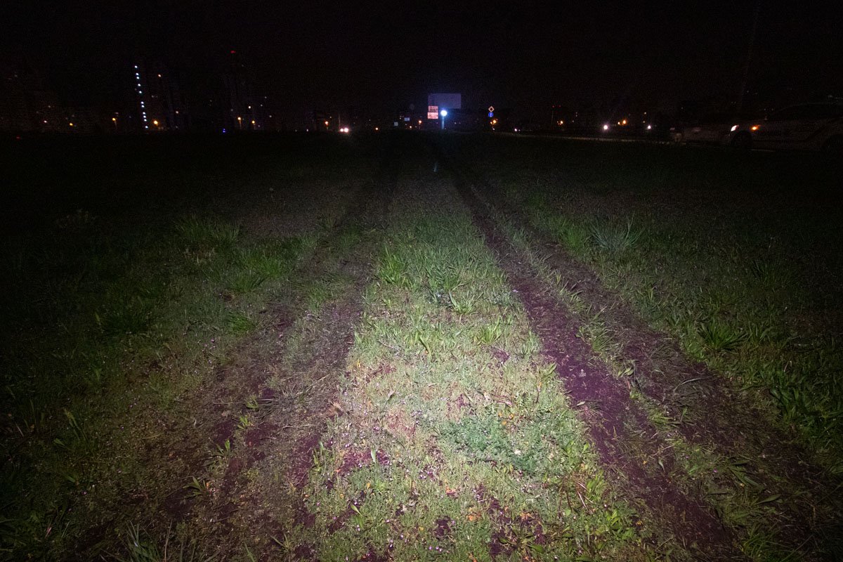 На проспекте Григоренко Mercedes вылетел на зеленую зону и протаранил забор автостоянки