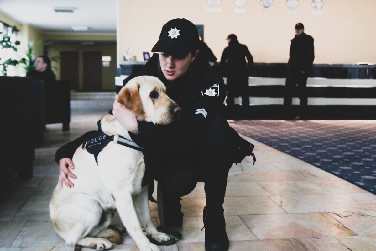 Кинологи с собаками проверяют помещение на наличие взрывчатки 