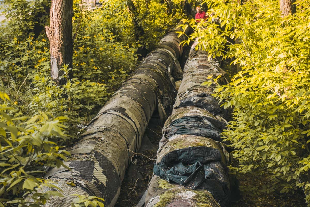 По предварительной информации, никто не пострадал. По какой причине произошло возгорание, пока неизвестно