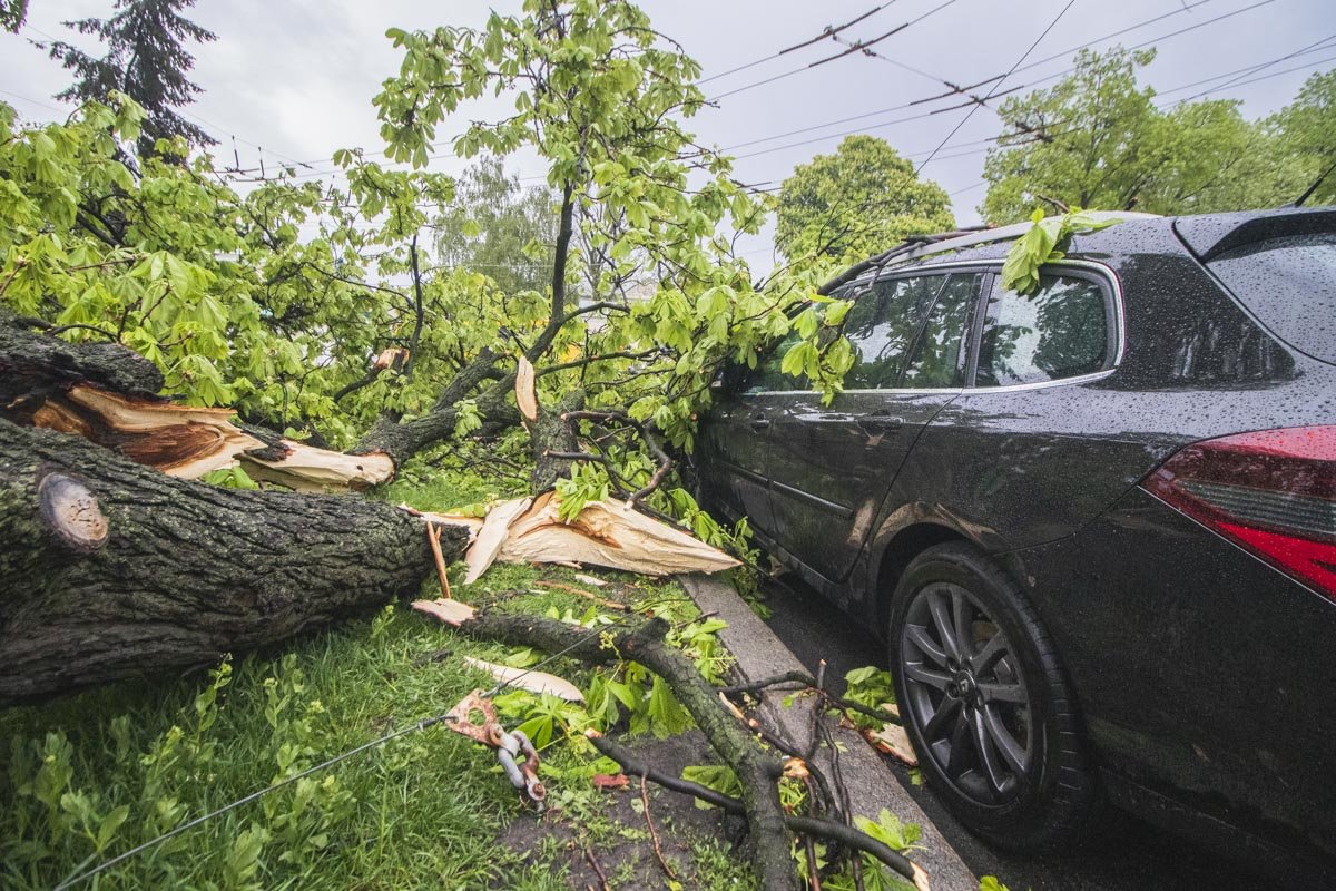 В момент инцидента рядом с машиной находился водитель