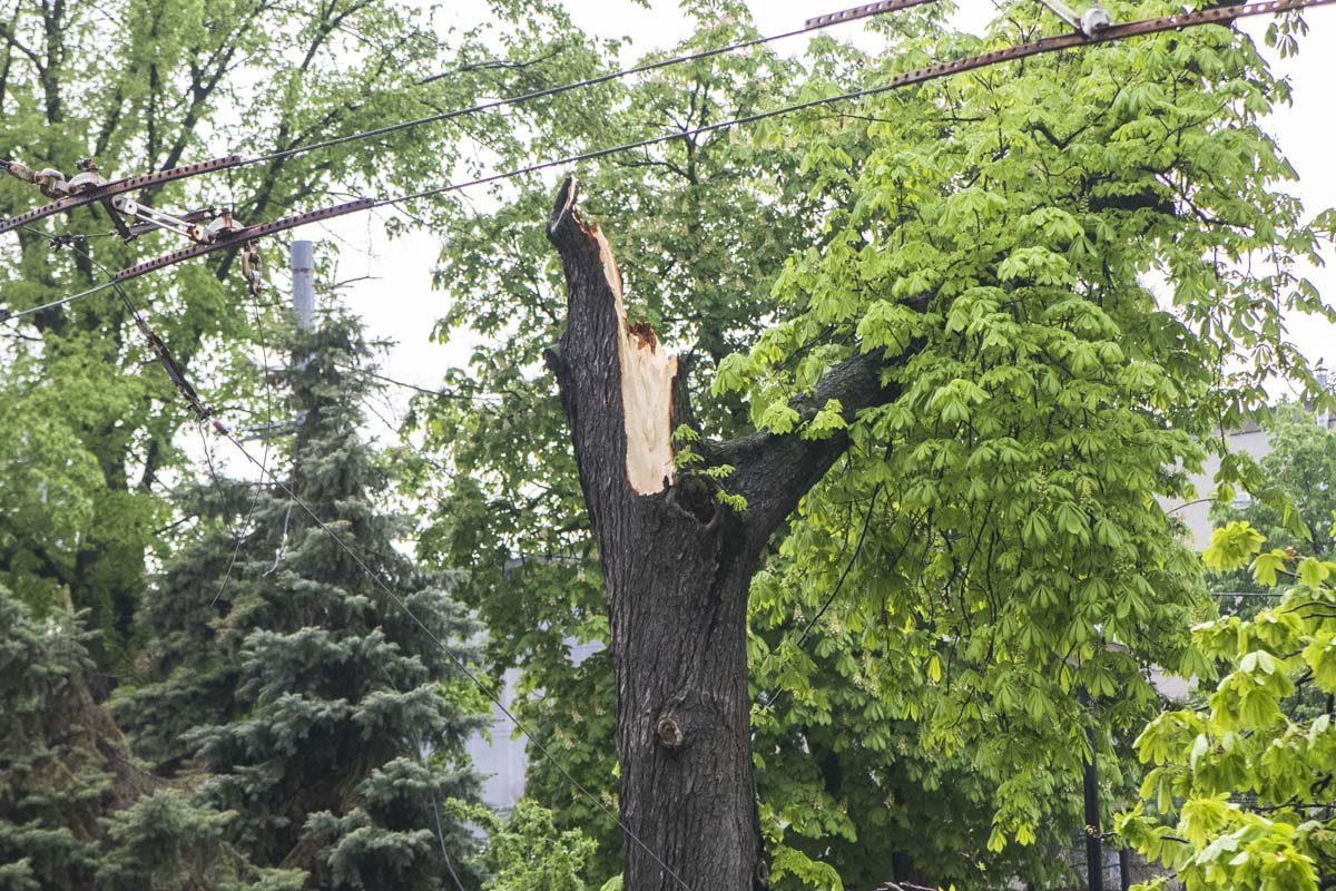 Все случилось во время непогоды