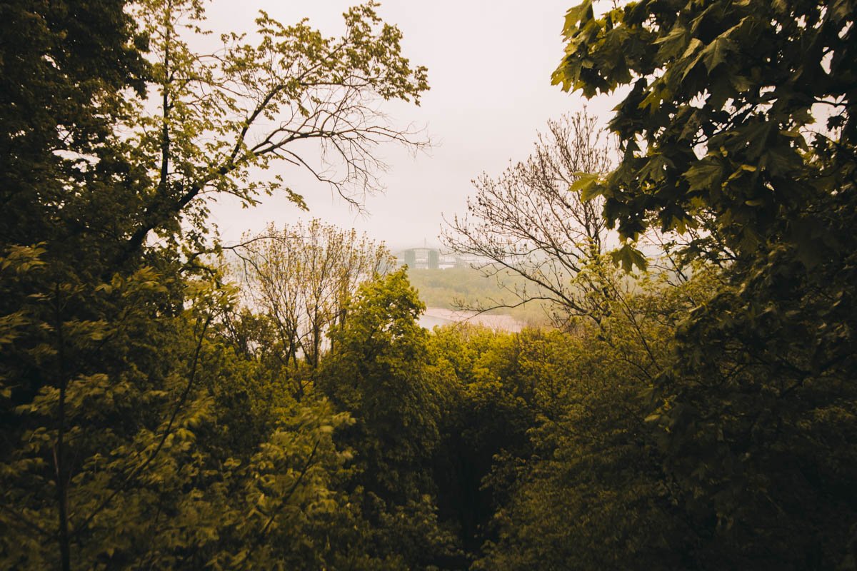 Весна буяет зелеными листьями Весна буяет зелеными листьями
