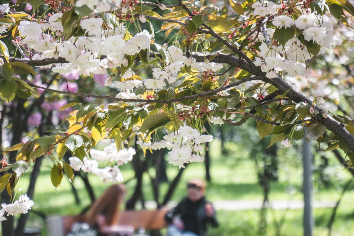 На ремонт потратят более 8 миллионов гривен