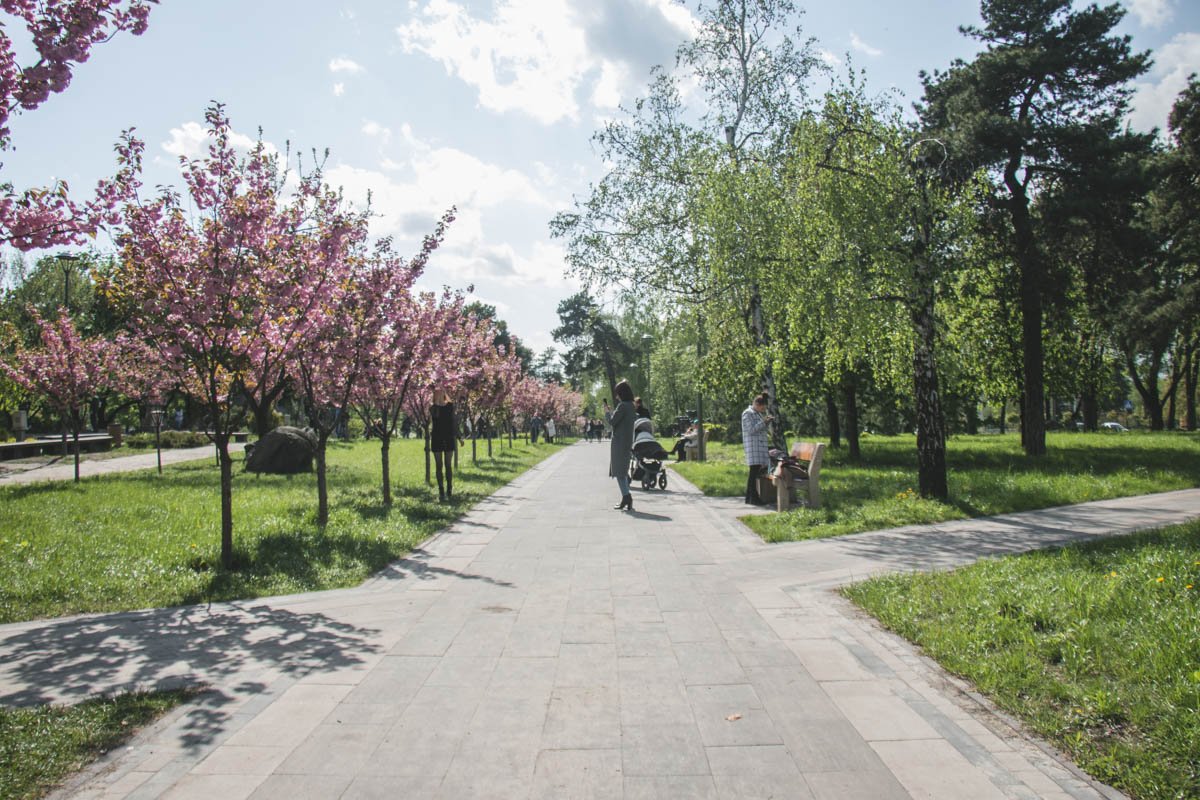 Парк - чистый и ухоженный 