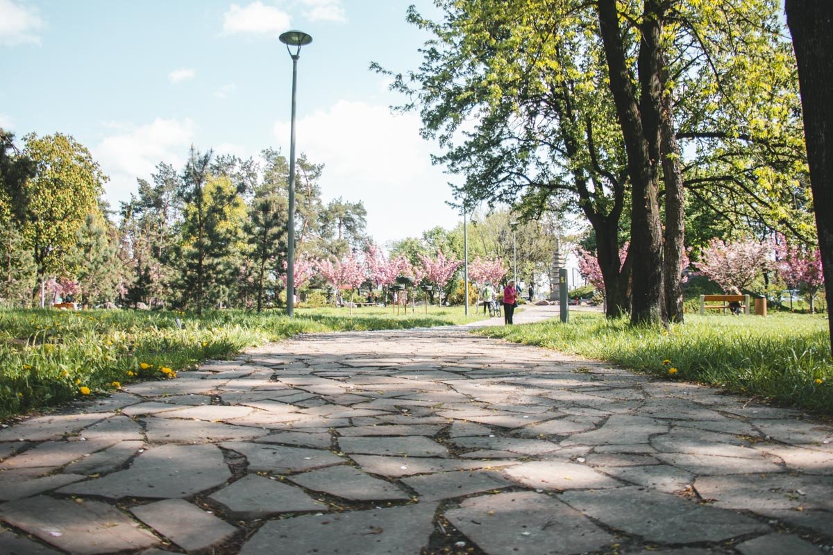 Газоны требуют более тщательного ухода