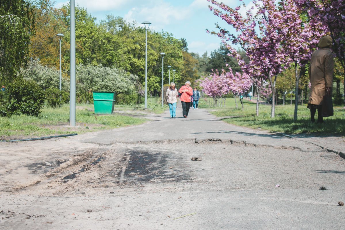 В парке обновят аллеи