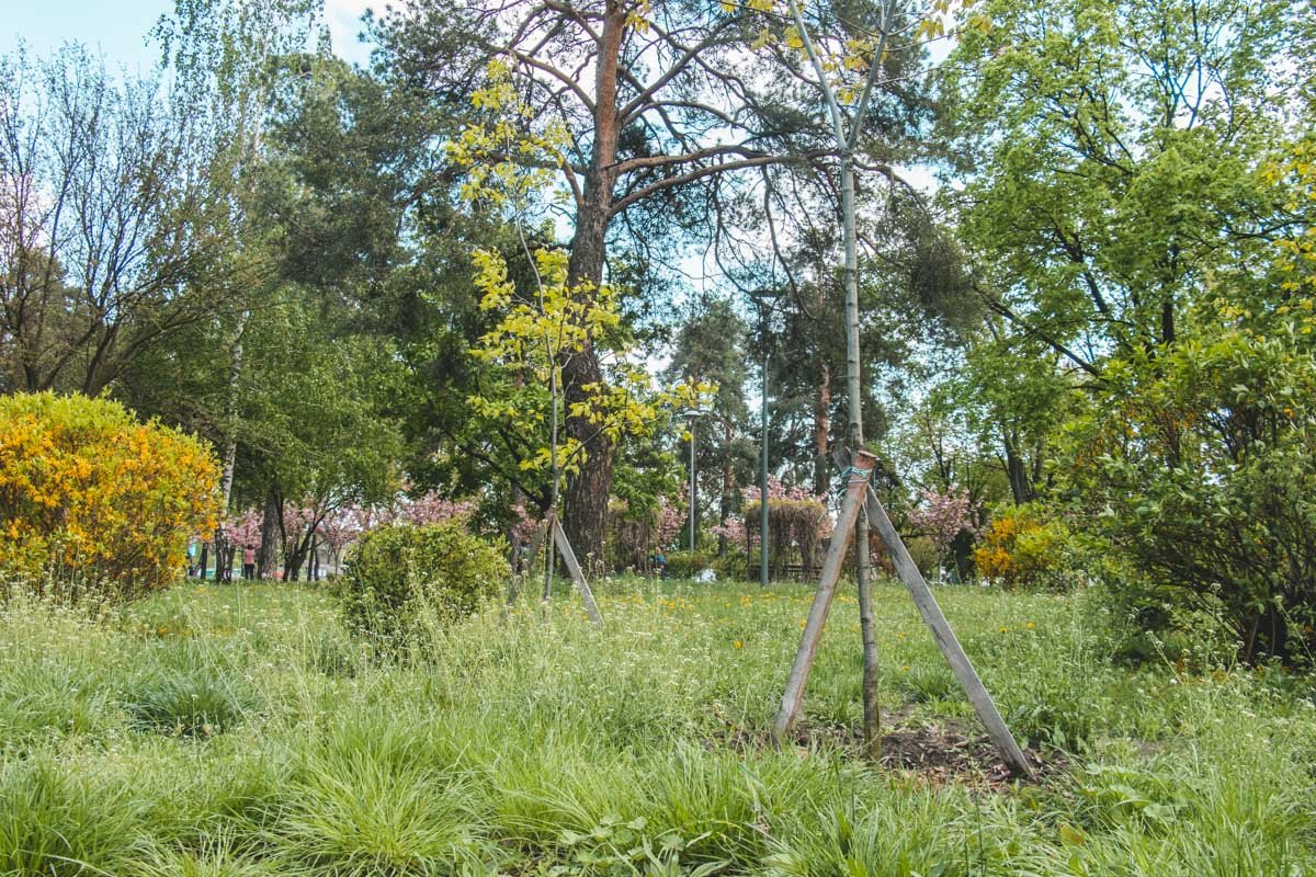 В разных частях Киева до конца года на капитальные ремонты в скверах потратят 38 миллионов