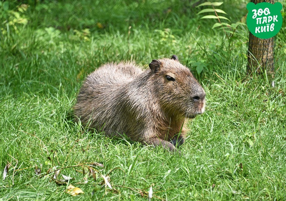 Когда время для тебя остановилось