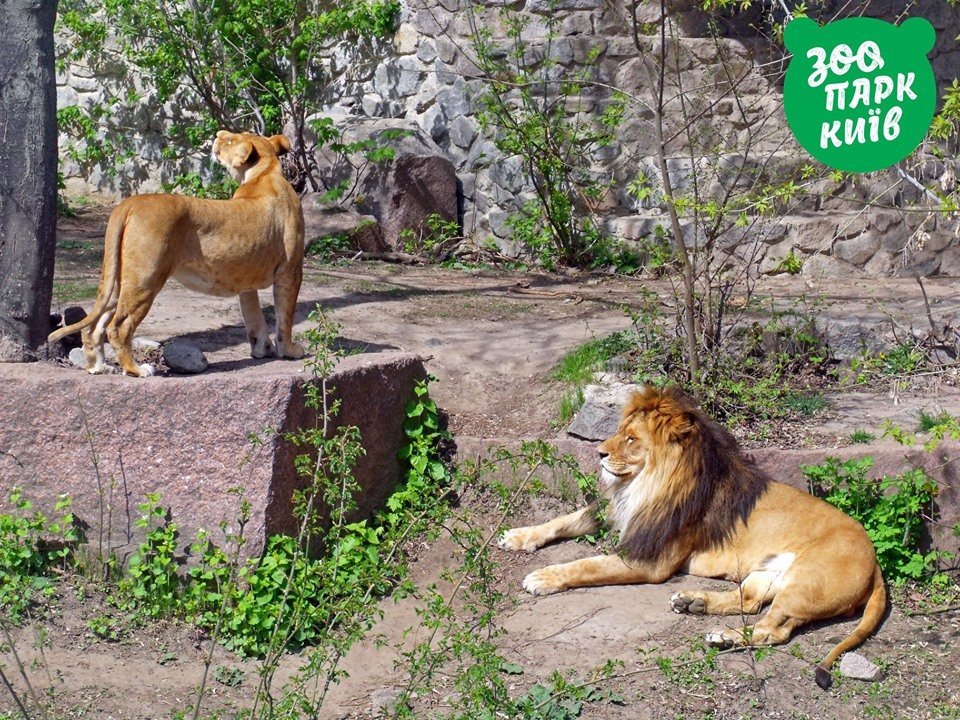 Отдых по-царски